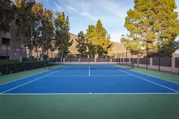 Tennis court